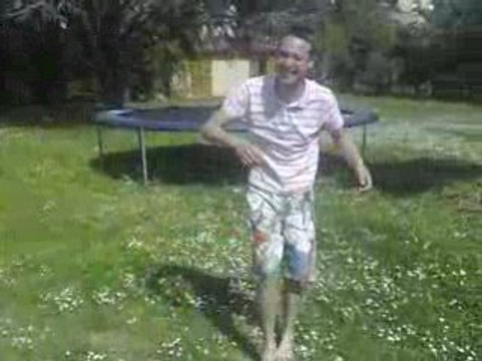 Didersaut