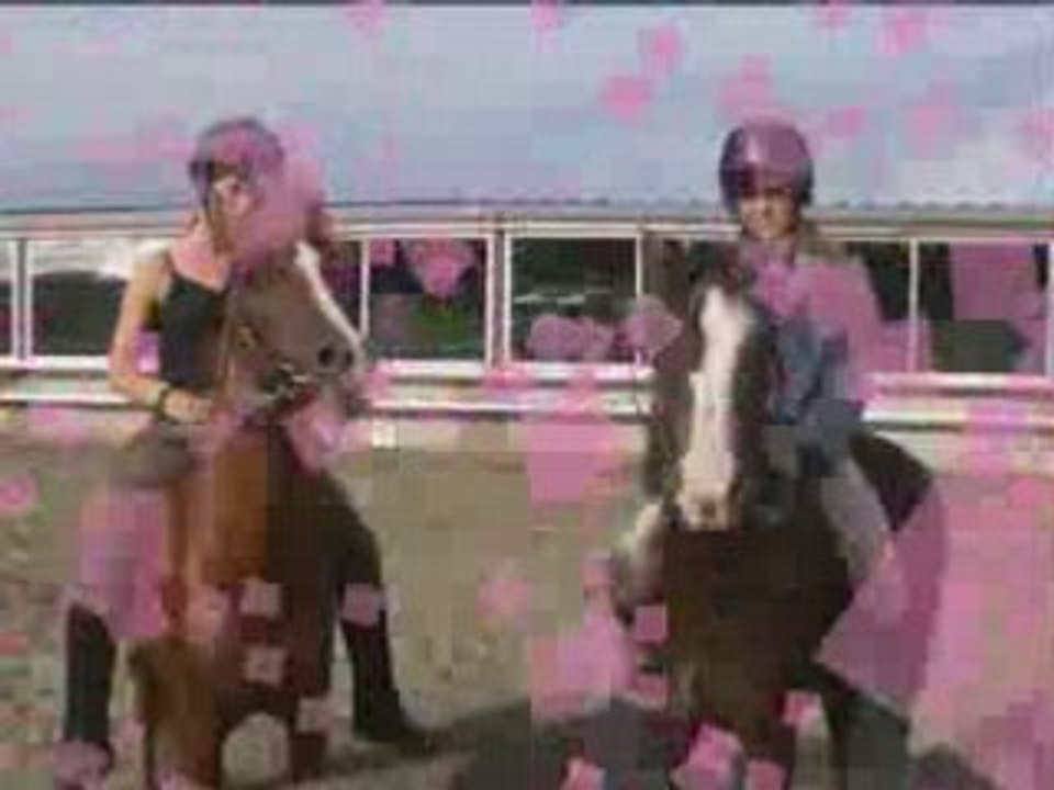 Haras de la Nee
