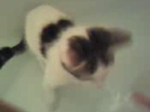 MON BEBE DAMOUR DANS L'EAU