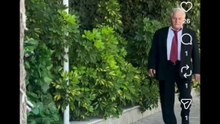 Gli scherzi della pianta finta