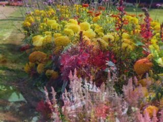 Képek a Margit szigetről