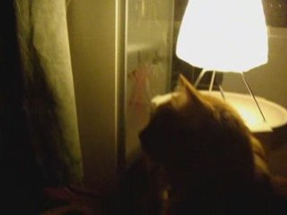 CATCAST