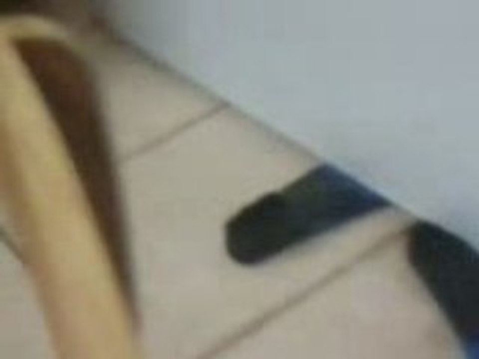 Petite libellule 2