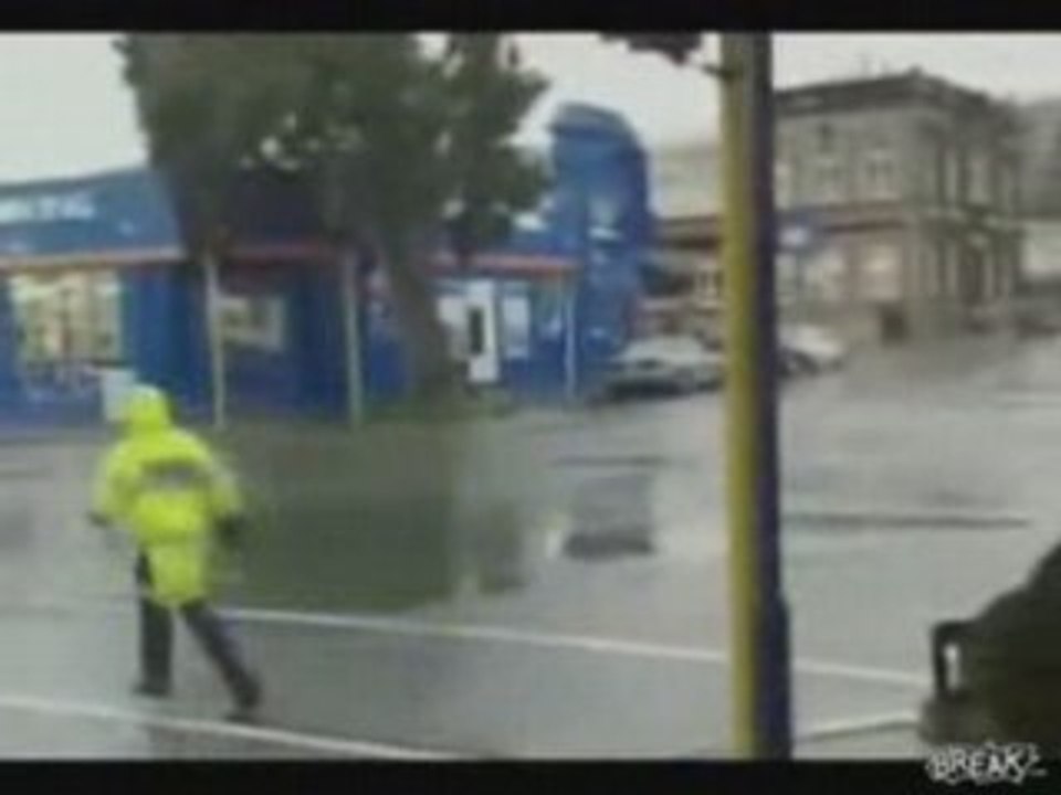 Tree Nearly Crushes Car