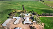 Murrays cropping/grazing farm off to auction at Eudunda.