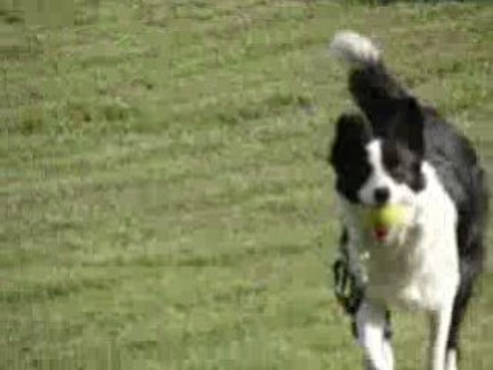 MOV00397