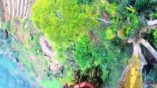 One Tiny Drop of Honey, One BIG Adventure!