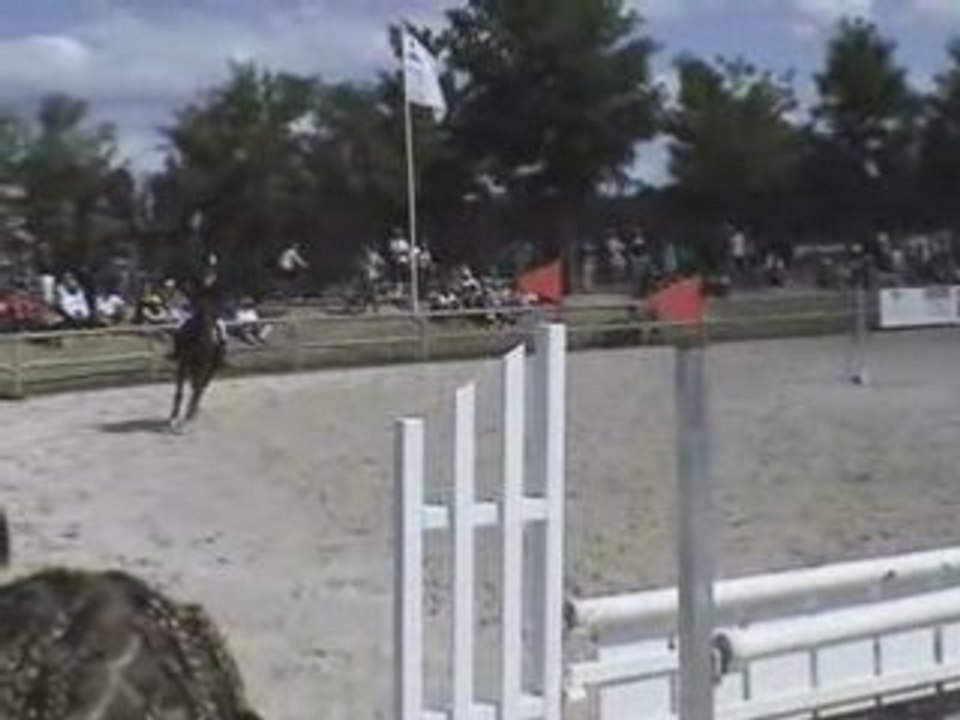 Lamotte 2008 - OBSTACLE