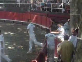 course camarguaise du 2 aout 2008