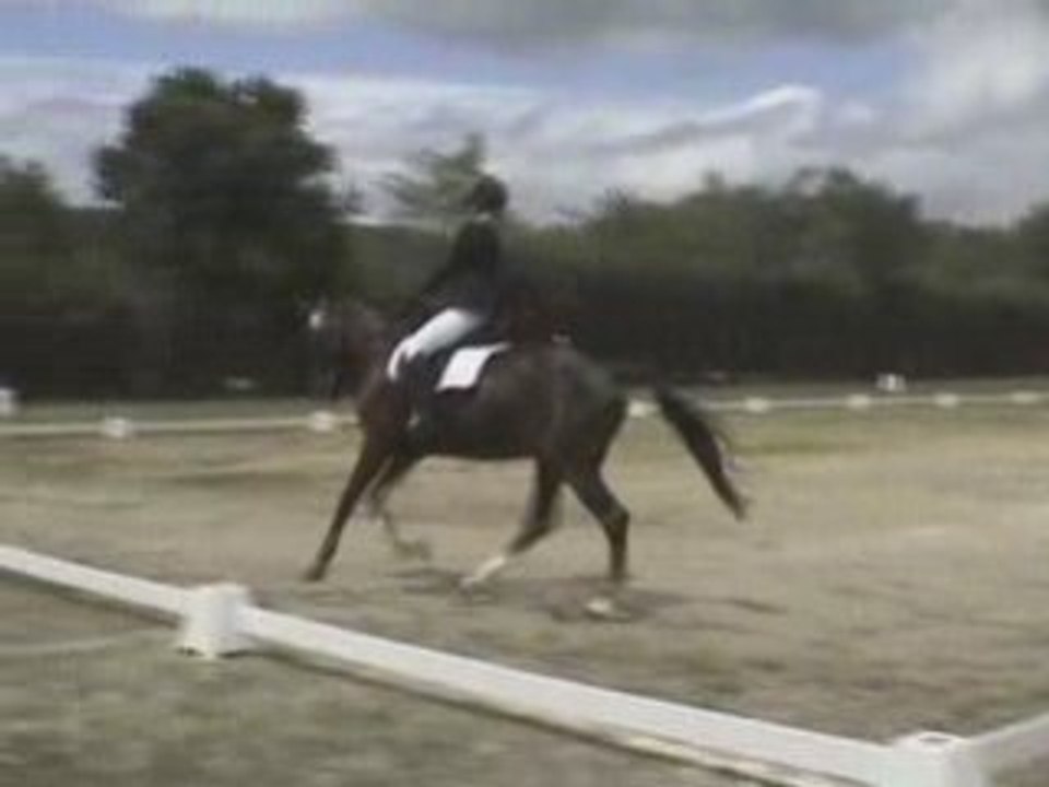 Lamotte 2008 - DRESSAGE