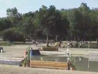 Lamotte 2008 - CROSS