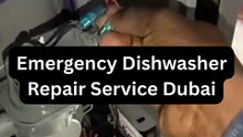 Emergency Dishwasher Repair Service Dubai | +971568127300