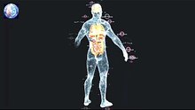 Is your body empty space? the body illusion of matter!