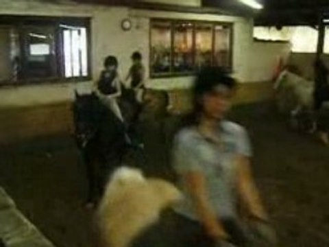 26-07-2008 Galop en groupe en fin de cours