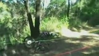 Biker Slams Head First Into Tree