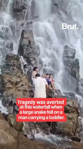 Snake scare at Amboli waterfall in Maharashtra
