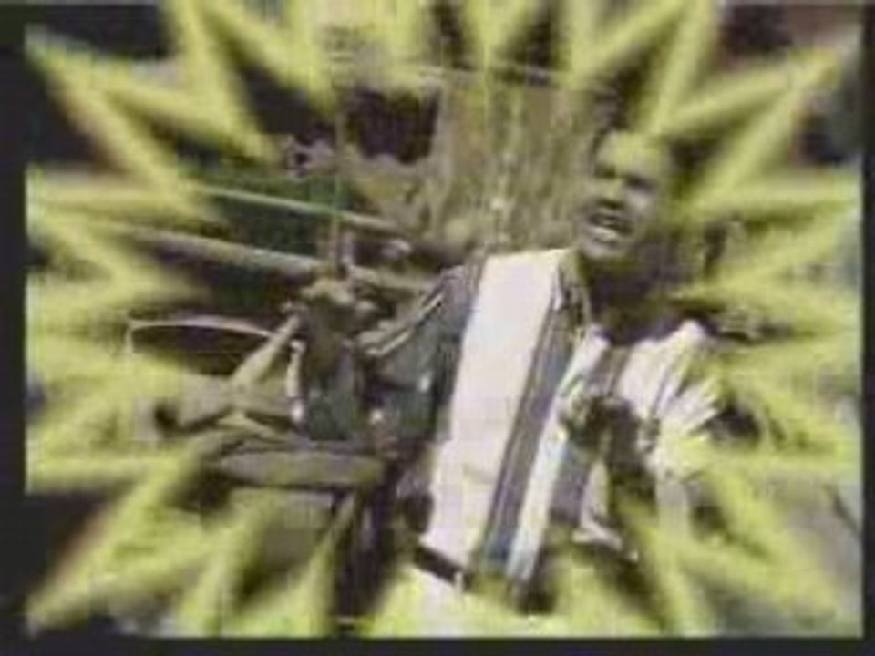 El salvador, 'fiestas de el salvador', los hermanos flores