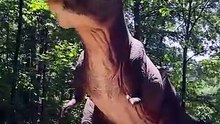 O DINOSSAURO Que Precisava Saltar Para Voar