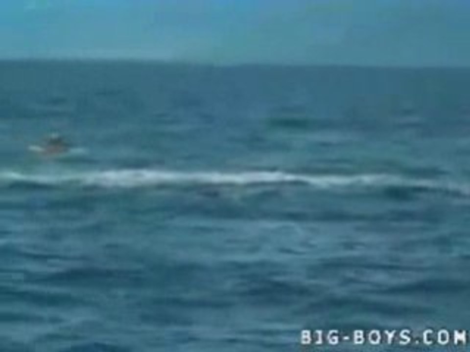 Whale Jumps On Top Of Kayaker