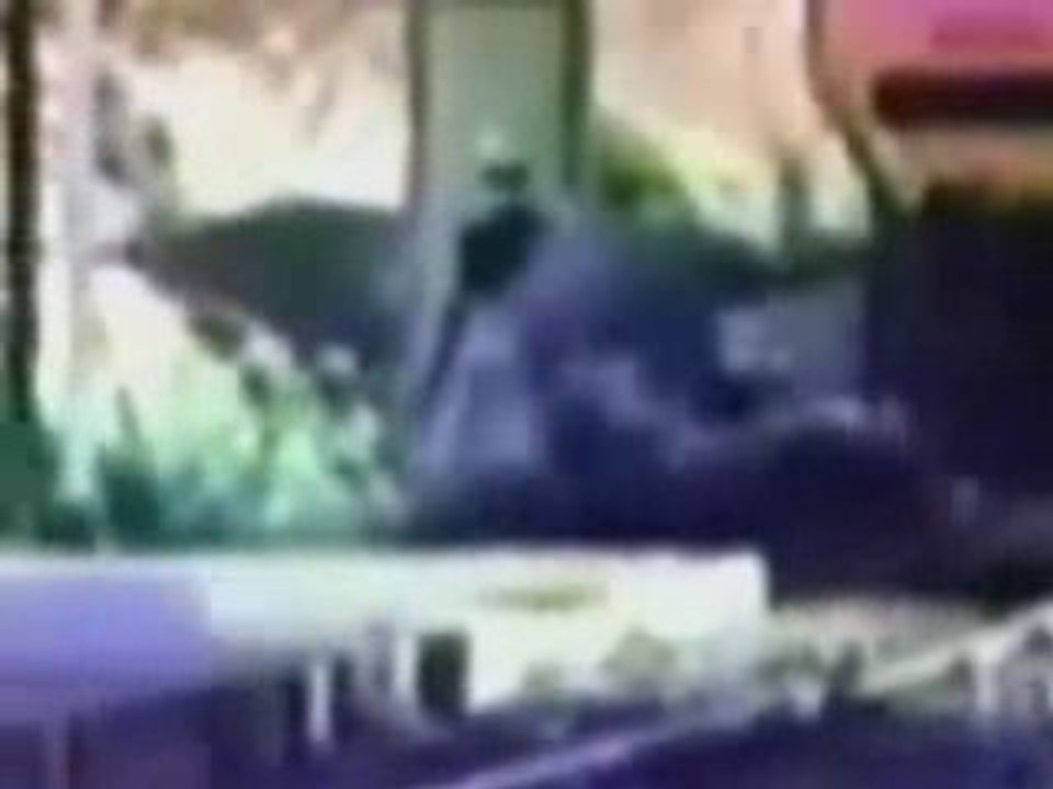 Small Scooter Hits Oncoming Train