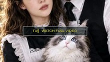 saving the owner's cat and winning his heart full