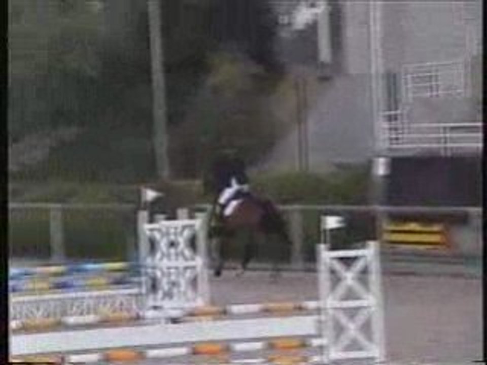 lonicera champeix. laiglon de l'arbalou: cheval a vendre