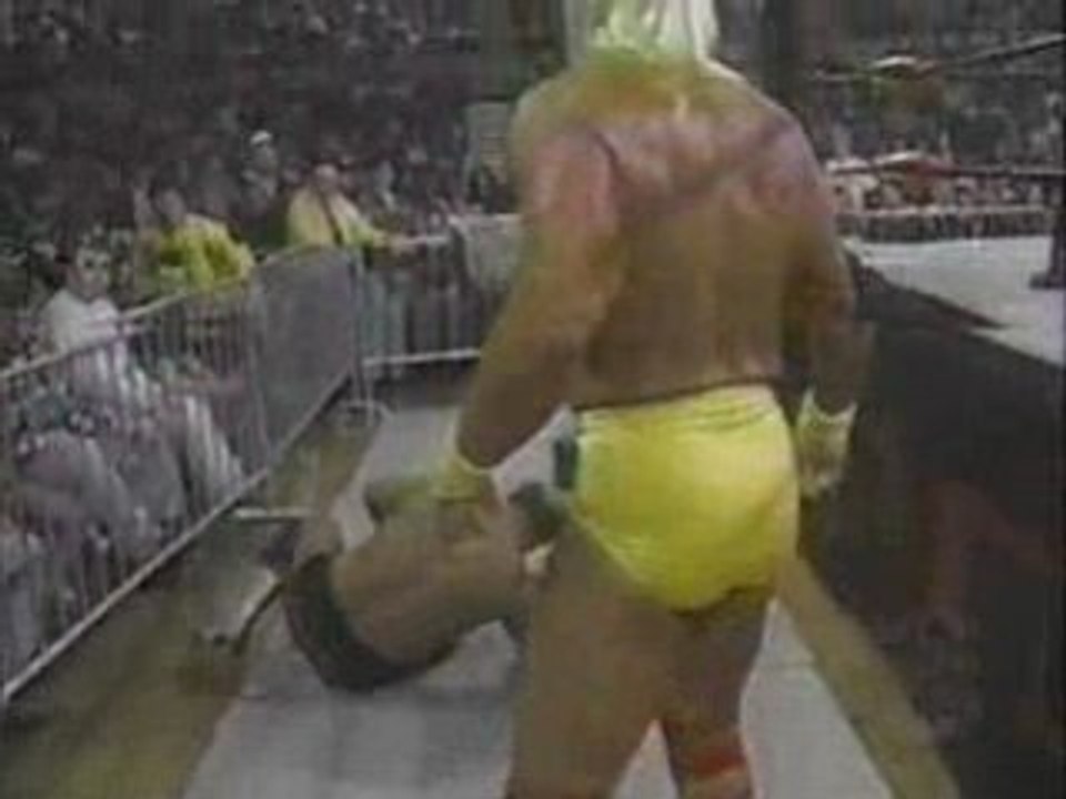 Nitro '96 Arn Anderson vs. Hulk Hogan video Dailymotion