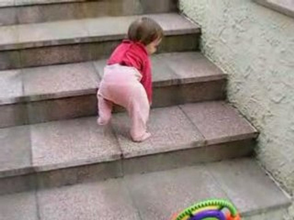 DSCF6488