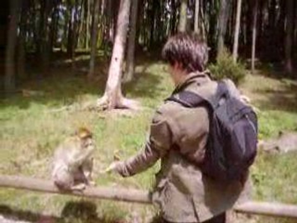 Montagne des singes1
