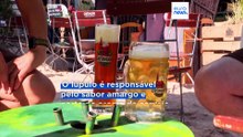 Calor e seca: por que é que a cerveja poderá escassear na Oktoberfest