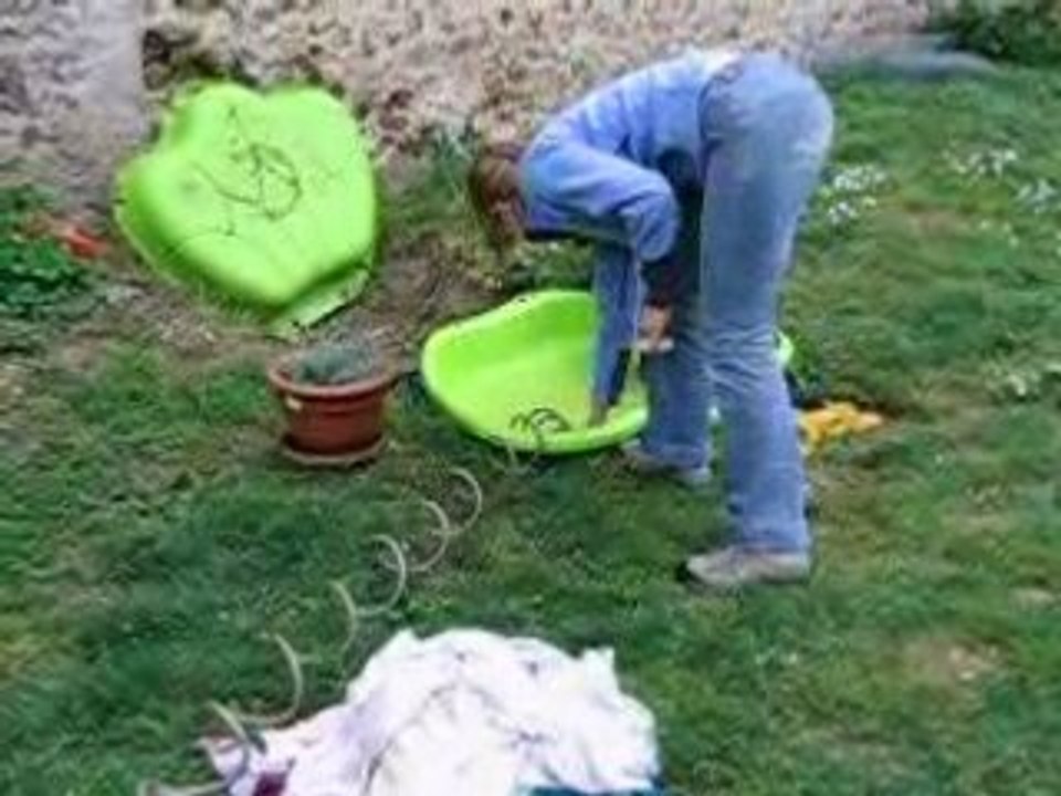 Piscine mai 2007