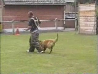 D'Jakson  en fuyante