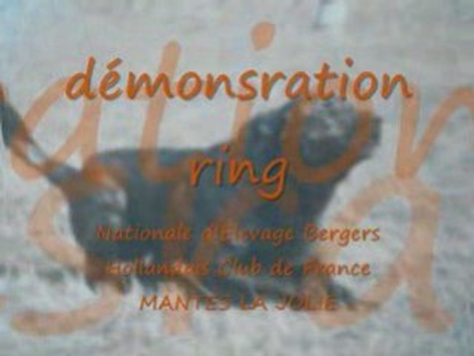 Démo NE mantes la jolie