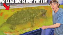 ¡Compré la tortuga MÁS LETAL del mundo!