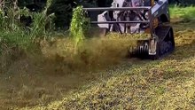 This John Deere Eats Everything! 😳 #agriculture #farming #farmlife #tractor #rurallife #farmer