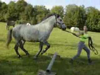04.09.26 petit saut en longe