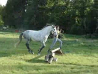 04.09.26 superbe saut en longe...