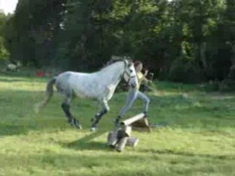 04.09.26 superbe saut en longe...