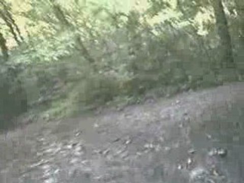 Sortie VTT en forêt de Vélizy le 30.07.2008 - PARTIE 2