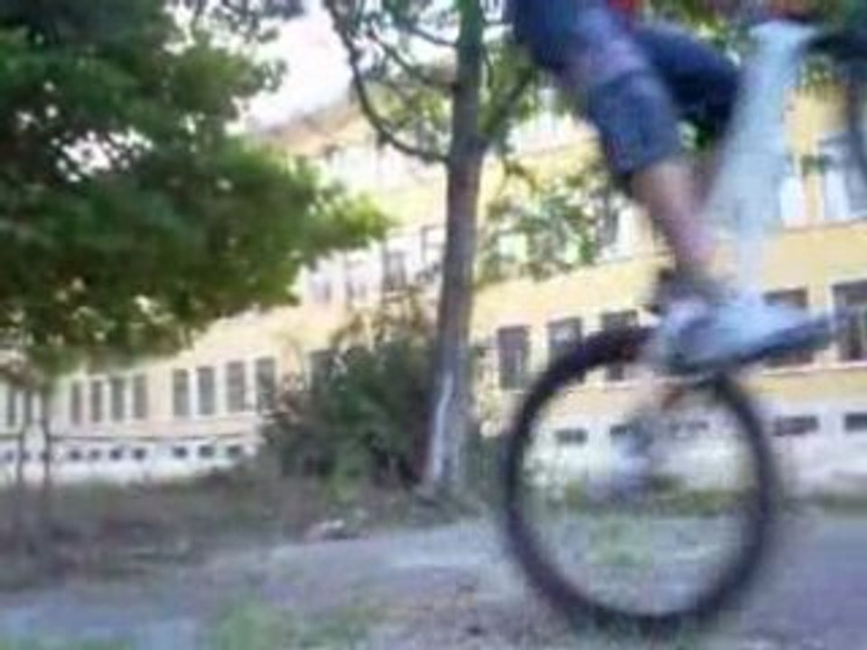 AssA video 1 adamant a2