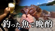 穴釣りで竿がきしむ怪物級の引き カサゴを釣って炭火焼きで晩酌する休日