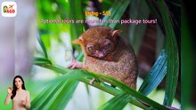 AGD - Review Bohol Countryside Tour: Chocolate Hills, Loboc River Cruise