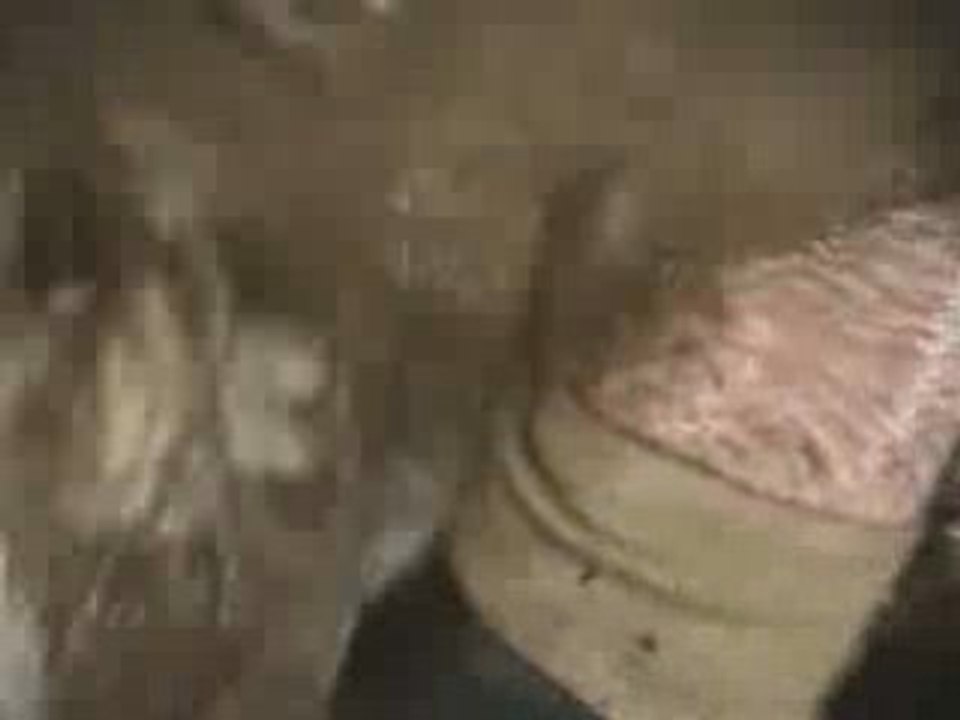 Crash Rallye Baldomérien