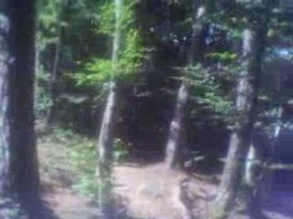 VTT Semnoz 07/08/2008