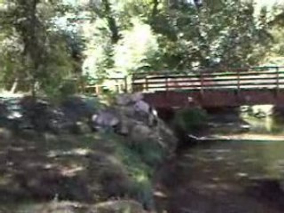 Parc et riviere