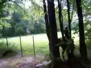 Balade foret