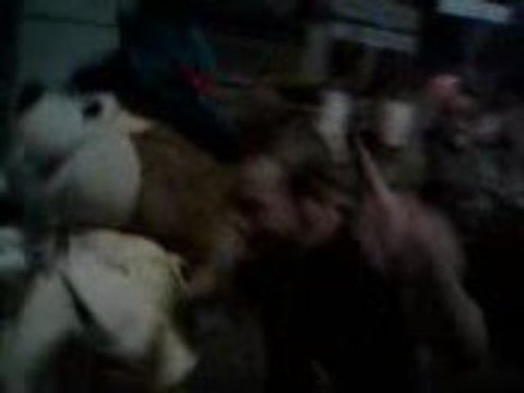 un délire de vacance 01