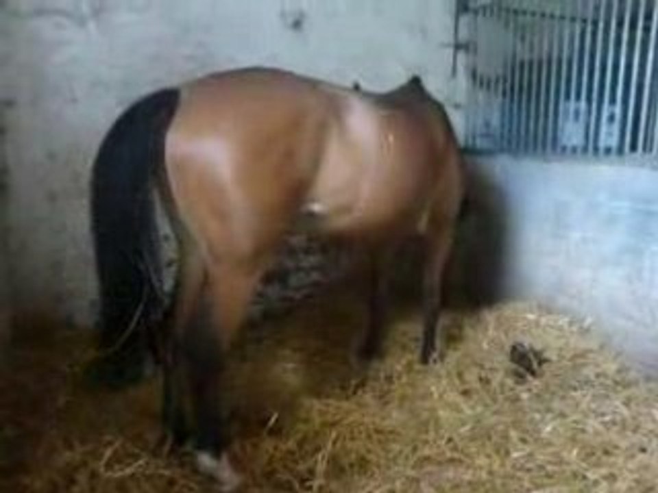 Kelly Se Léve Aprés La Sieste !