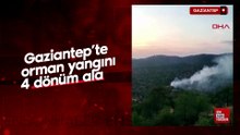 Gaziantep’te orman yangını; 4 dönüm alan zarar gördü