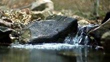 Ruisseau Paisible💙 – Musique Relaxante pour Dormir et Méditer